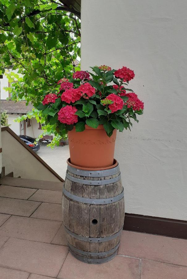 Das Landhotel Weingut Gernert Sankt Martin Kültér fotó